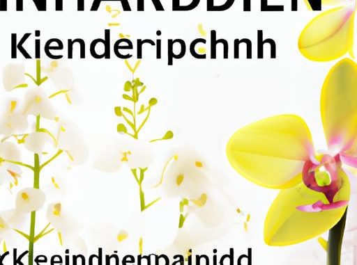 Kinderorchidee: Was ist und wie man es zu Hause pflanzen?